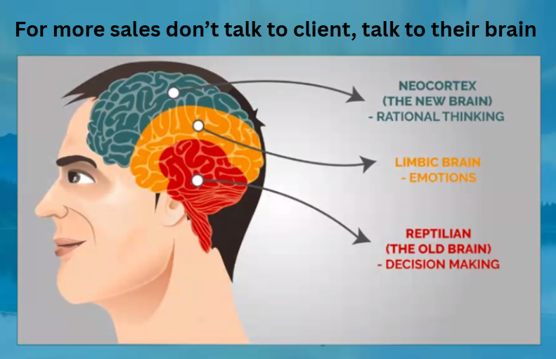 Shweta Shah Digital Marketing ROI Strategist